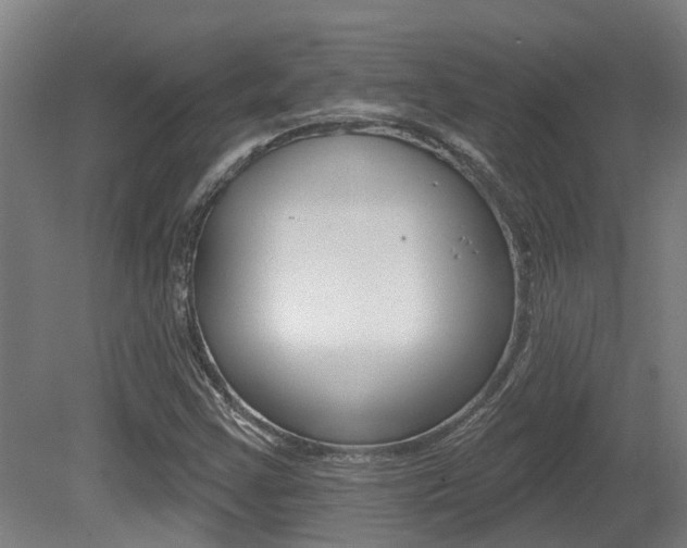 X0000081281355200701110923