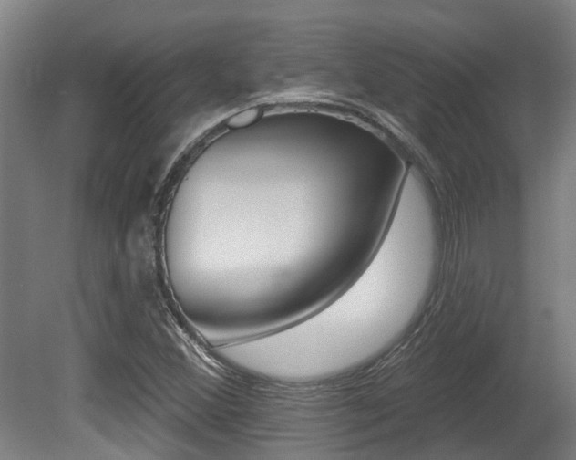 X0000081281356200701110923