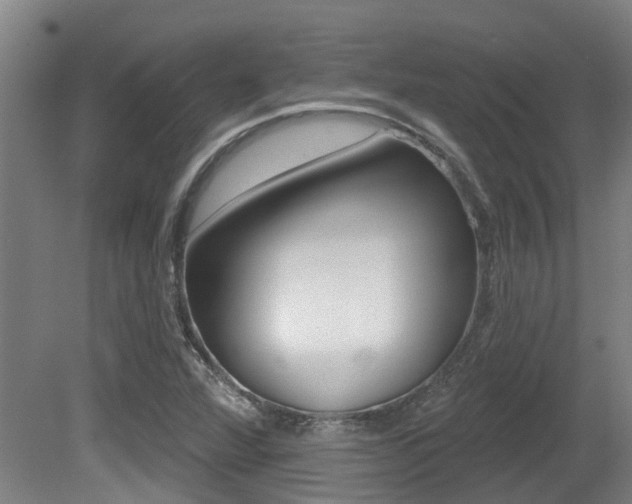 X0000081281360200701110923