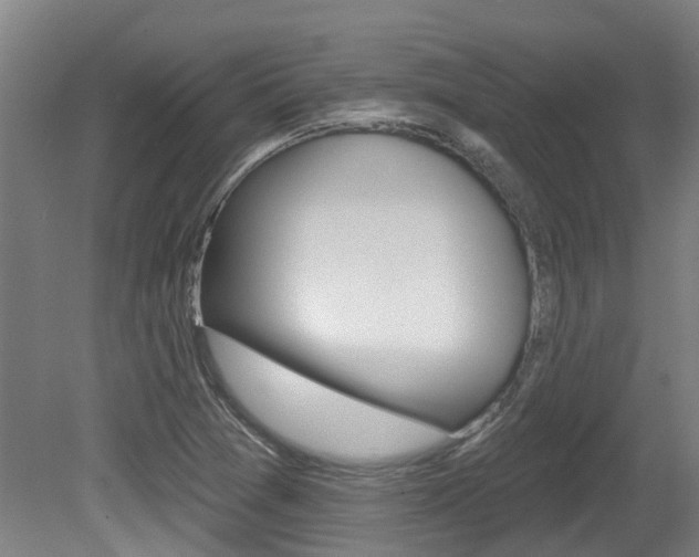 X0000081281361200701110923