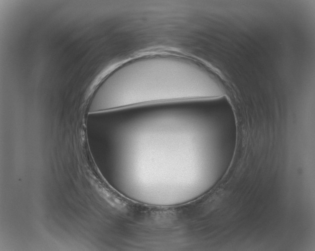 X0000081281363200701110923