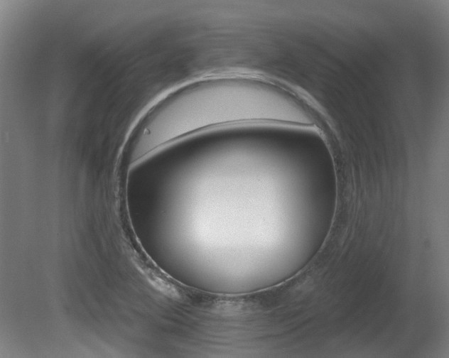 X0000081281364200701110923