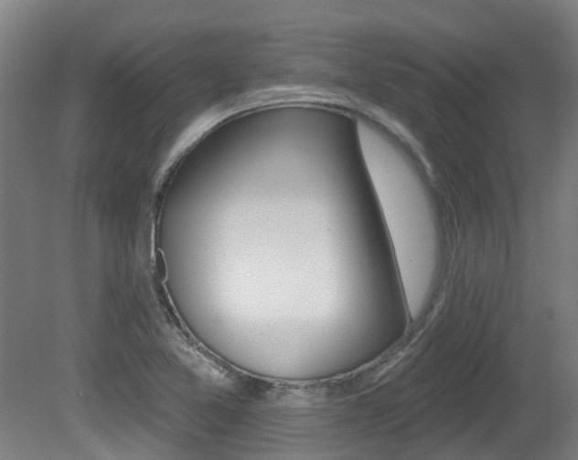 X0000081281365200701110923