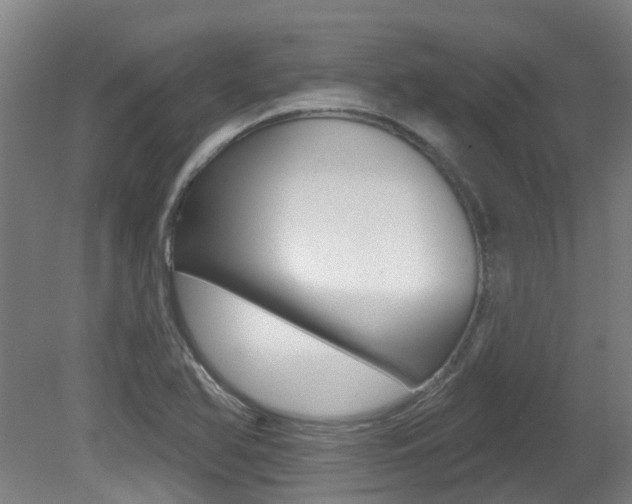 X0000081281366200701110923