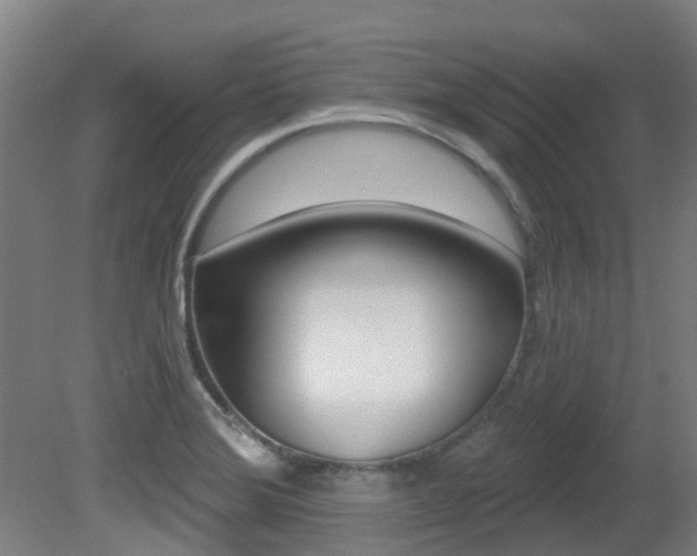 X0000081281372200701110923