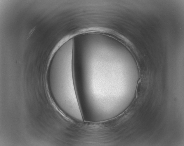 X0000081281373200701110923