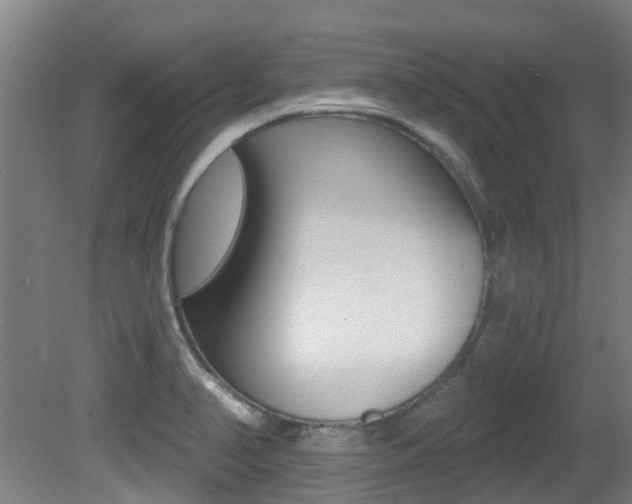 X0000081281374200701110923