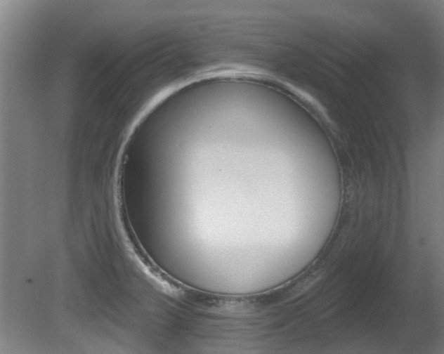 X0000081281375200701110923