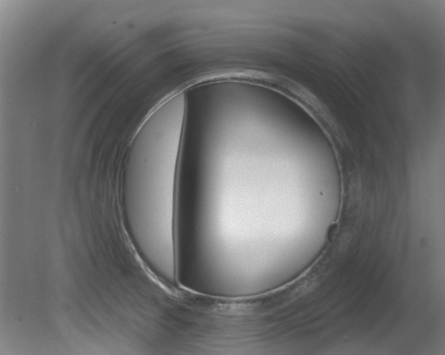 X0000081281377200701110923