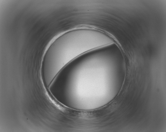 X0000081281379200701110923