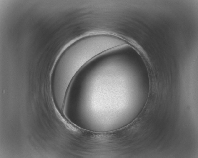 X0000081281380200701110923