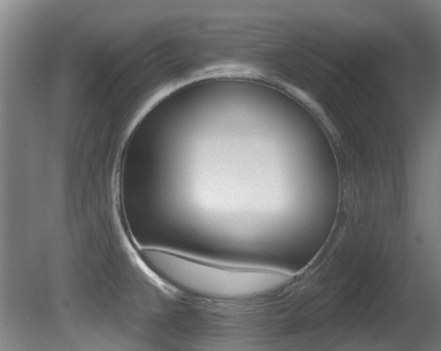X0000081281383200701110922