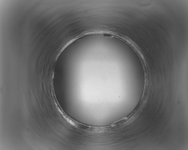 X0000081281385200701110922