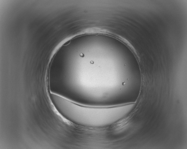 X0000081281387200701110922