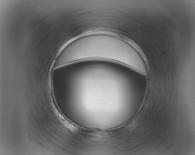 X0000081281388200701110922