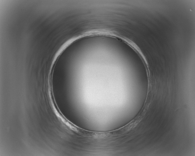 X0000081281389200701110922