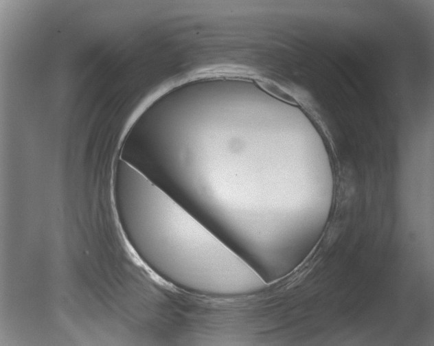 X0000081281390200701110922