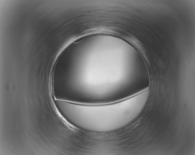 X0000081281391200701110922