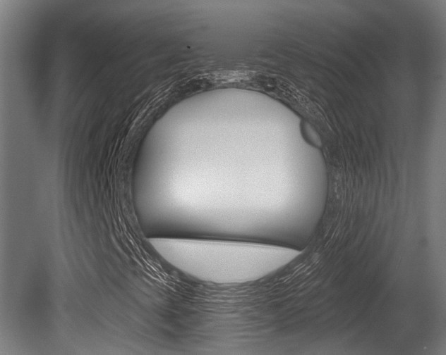 X0000081281393200701110921
