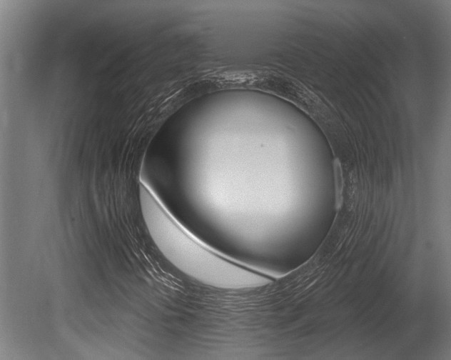 X0000081281394200701110922