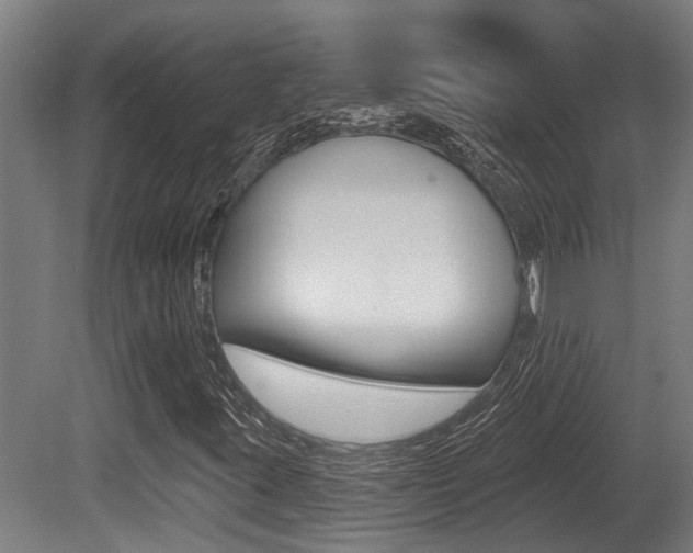 X0000081281395200701110922