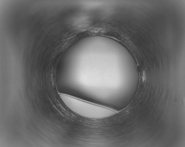 X0000081281396200701110922