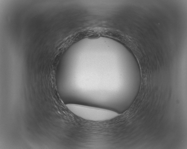 X0000081281397200701110922