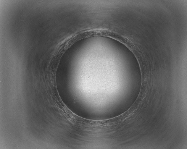 X0000081281398200701110922