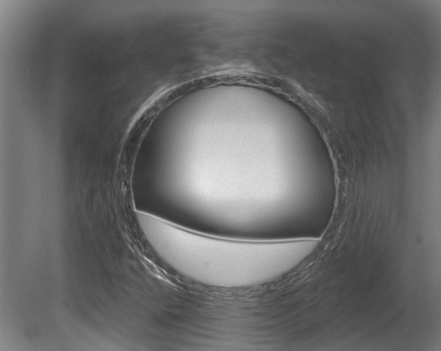 X0000081281400200701110922