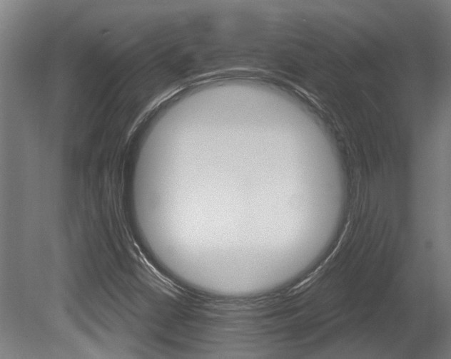 X0000081281402200701110922