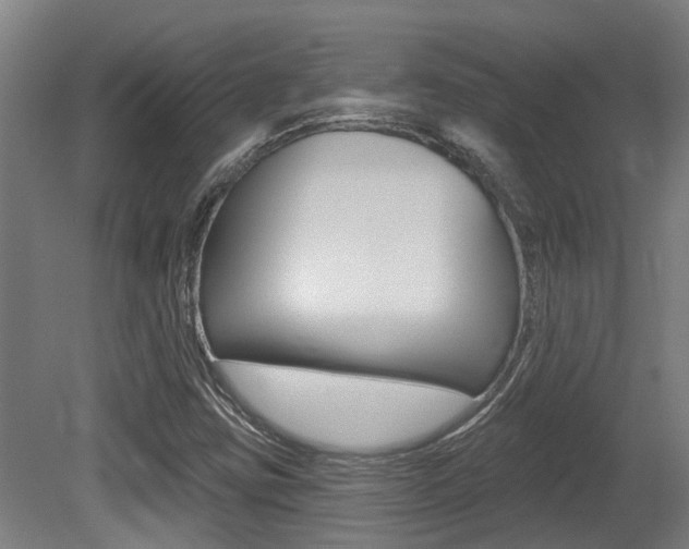X0000081281403200701110922