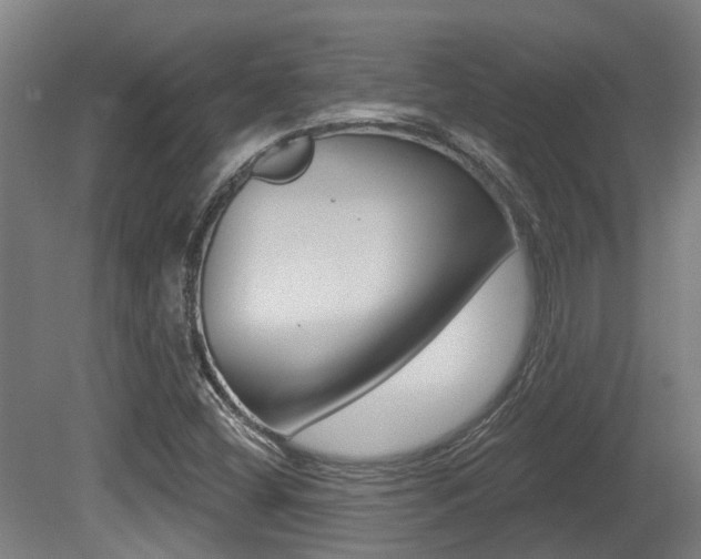 X0000081281404200701110922