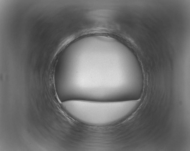 X0000081281405200701110922