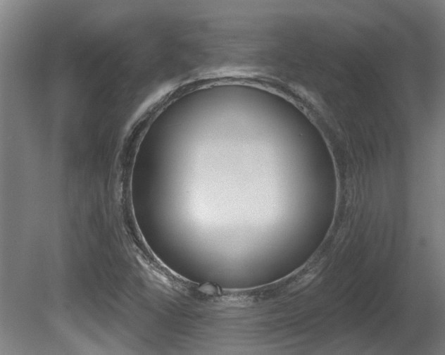 X0000081281406200701110922