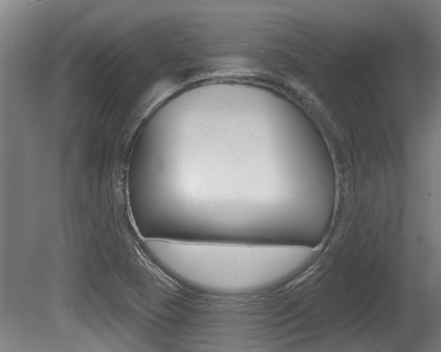 X0000081281409200701110922