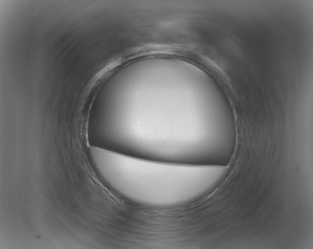 X0000081281411200701110922