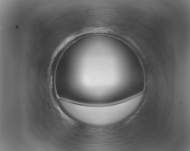 X0000081281414200701110922
