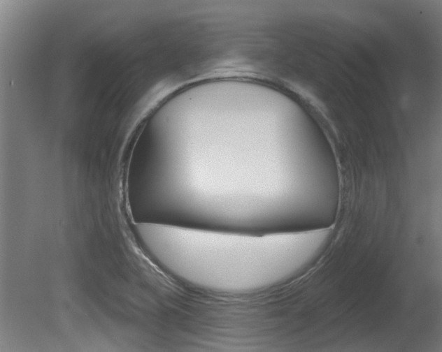 X0000081281415200701110922
