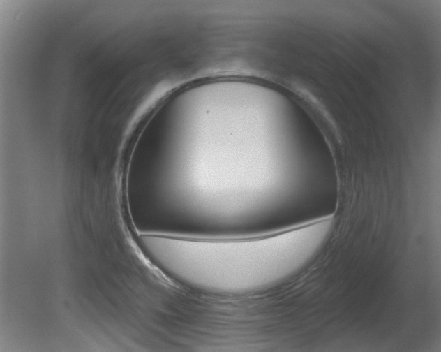 X0000081281416200701110922