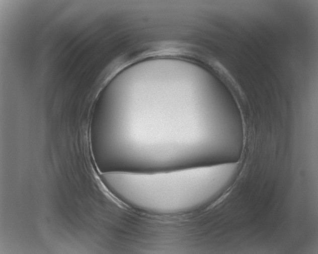 X0000081281417200701110922