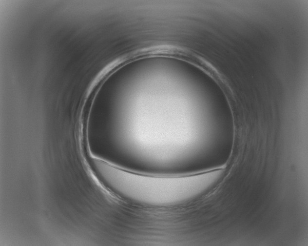 X0000081281418200701110922