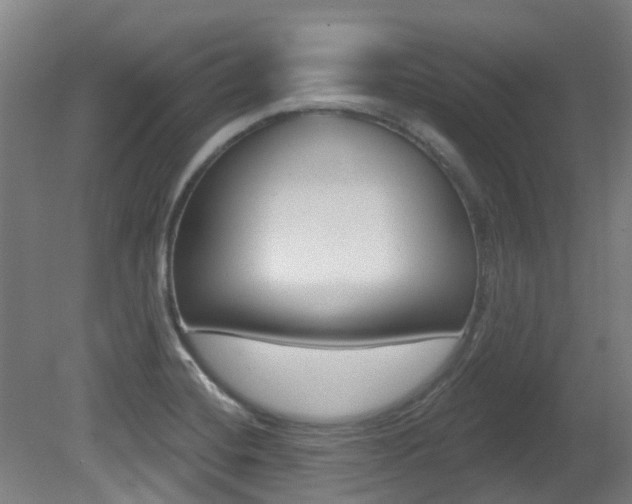 X0000081281420200701110922