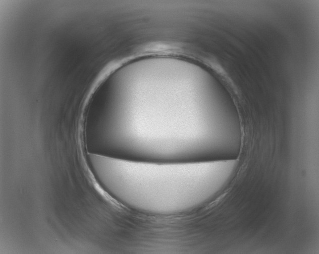 X0000081281421200701110922