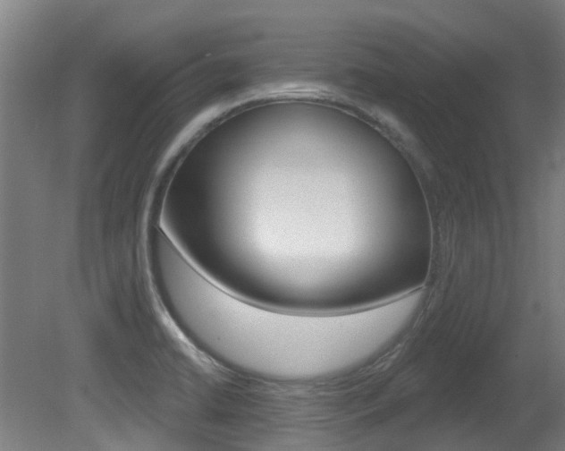 X0000081281422200701110922