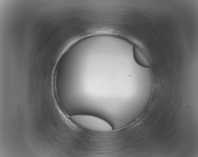 X0000081281423200701110922
