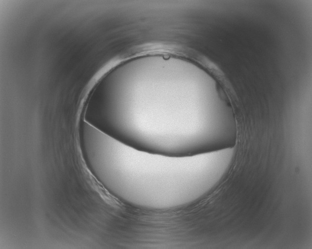 X0000081281427200701110922
