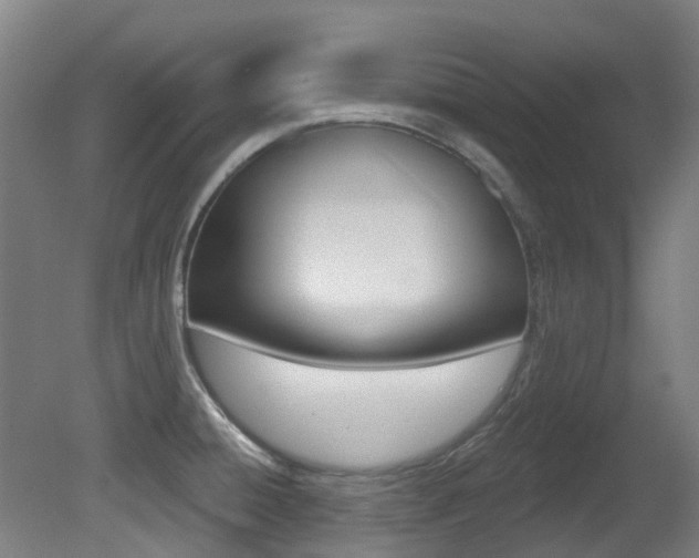X0000081281428200701110922