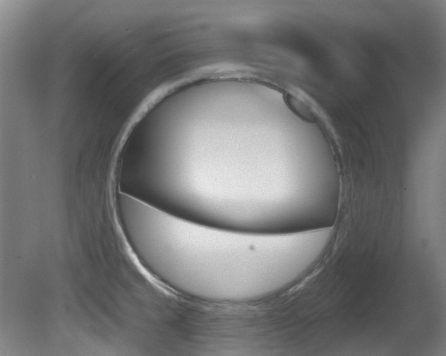X0000081281429200701110922