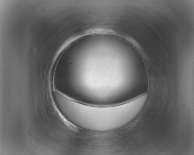 X0000081281430200701110922