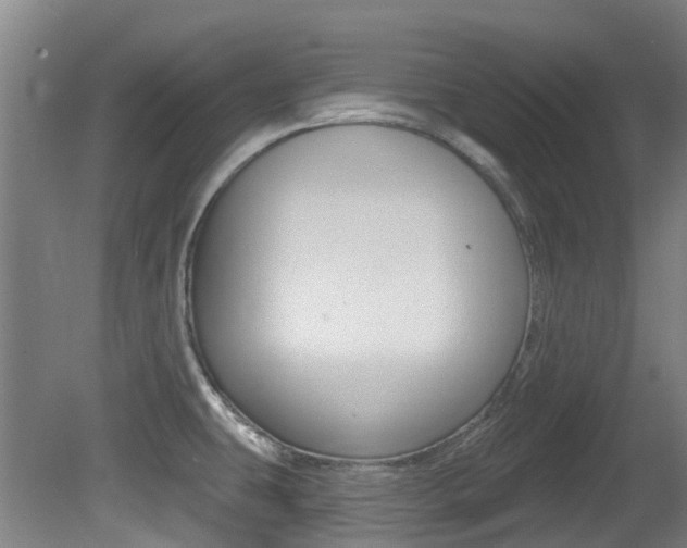 X0000081281431200701110922
